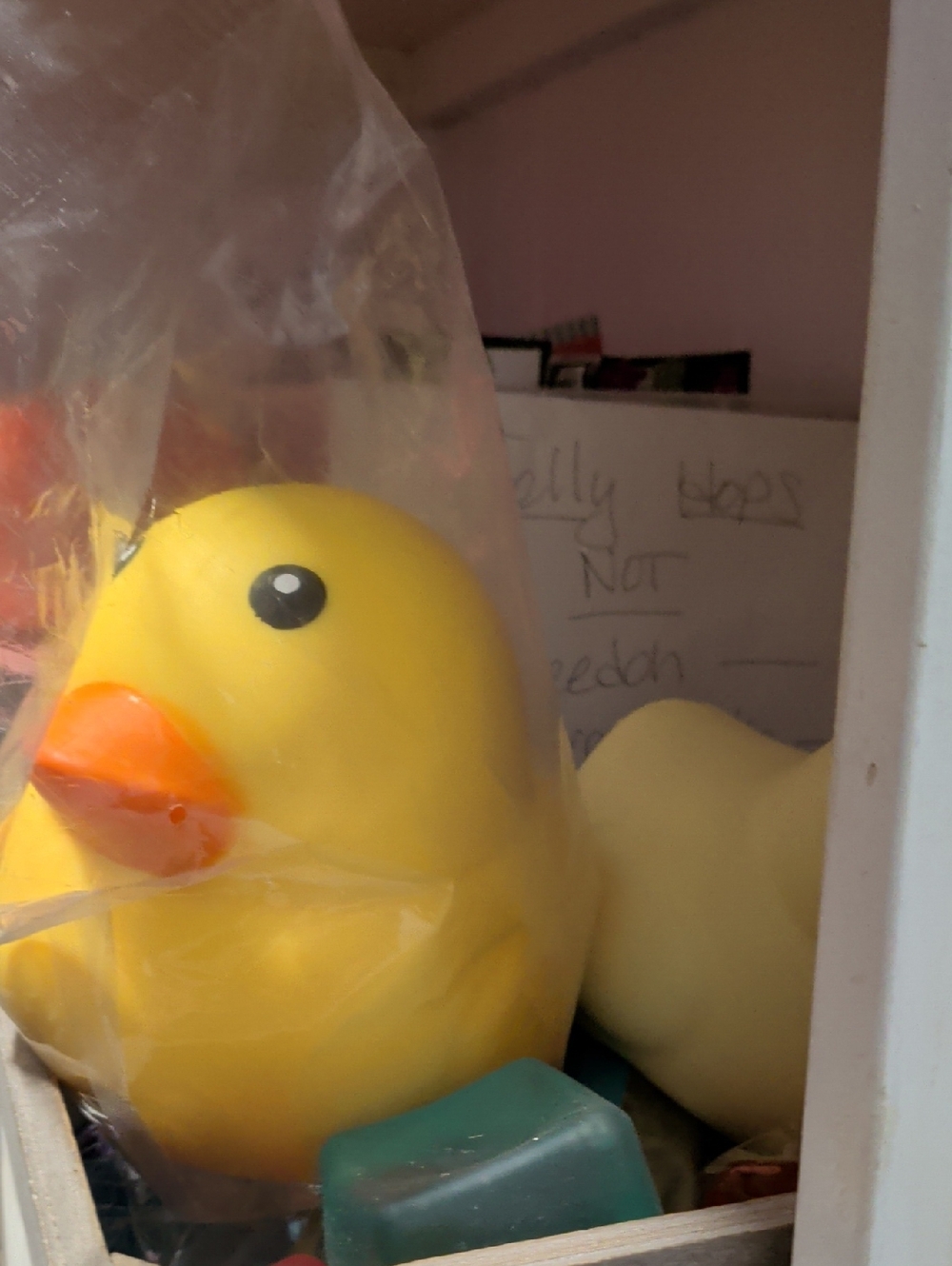 Sunny 😎 Days Large Squishy Duck